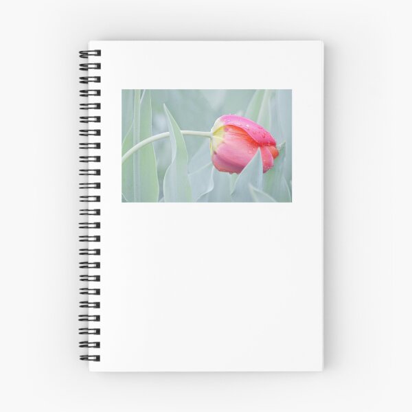 Item preview, Drooped Tulip designed and sold by Laurie Minor.
