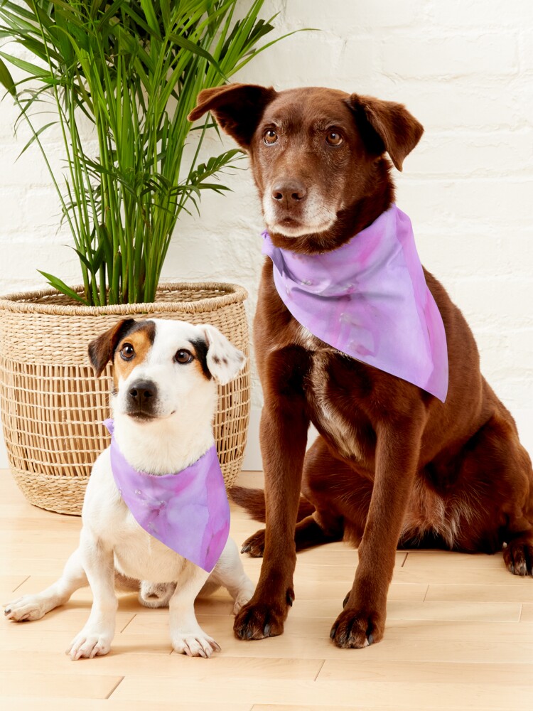 Alternate view of Vibrant Pink Floral Pet Bandana