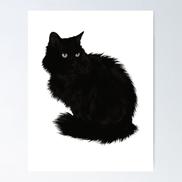 Big Fluffy Black Cat >^..^< Poster for Sale by bayberrygal