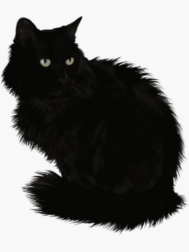 Vinyl Sticker - Suspicious Black Cat | CUSTOM PET PORTRAITS