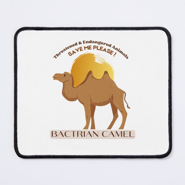Item preview, Bactrian Camel designed and sold by yassooarts.