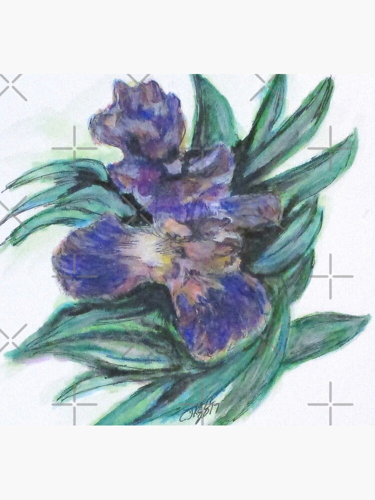 Spring Iris Bloom by cjkell