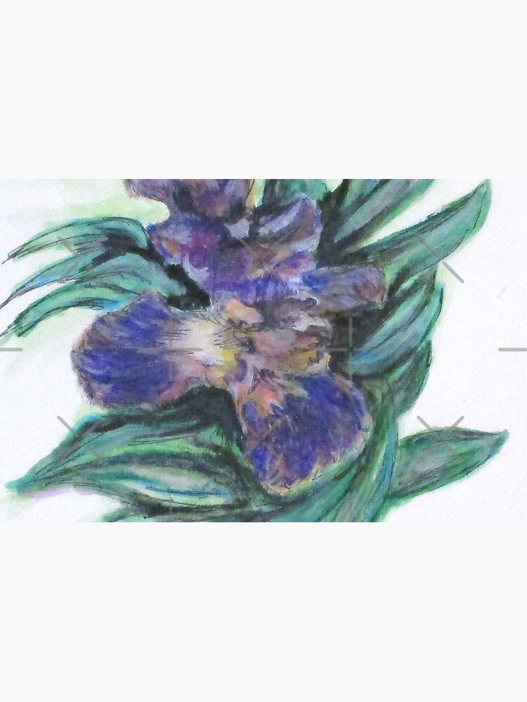 Spring Iris Bloom by cjkell