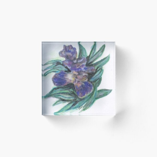 Spring Iris Bloom Acrylic Block