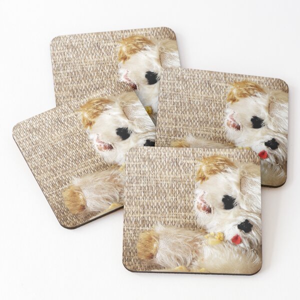 Item preview, 15.4.2022: Old Teddy Bear designed and sold by Petri Volanen.