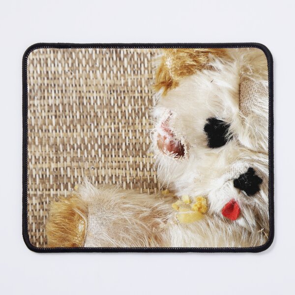 Item preview, 15.4.2022: Old Teddy Bear designed and sold by Petri Volanen.