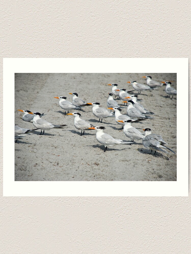 Alternate view of Orange Beak Brigade Art Print