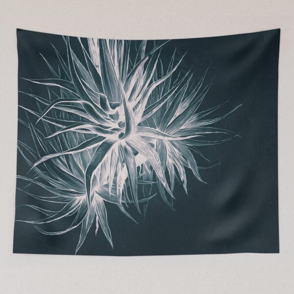 Item preview, Cyanotype - Aloe Socotrina - C designed and sold by PixelHunter.