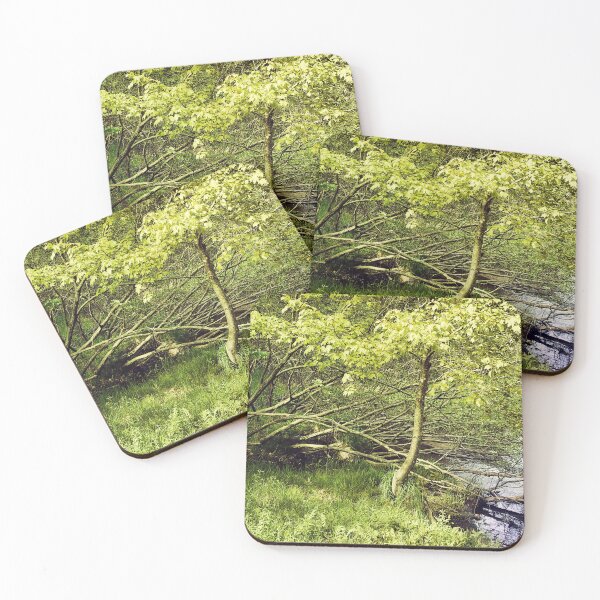 Item preview, summer  designed and sold by hdconnellyphoto.