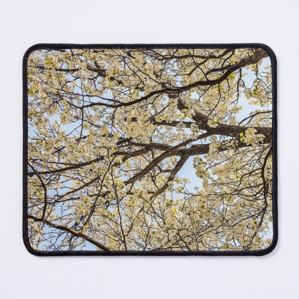 Item preview, Summer Trees designed and sold by J+J Photography.