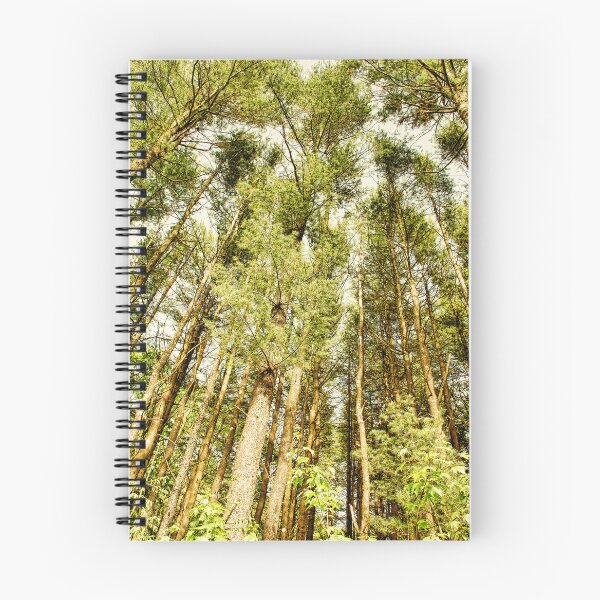 Item preview, trees designed and sold by hdconnellyphoto.
