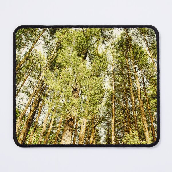 Item preview, trees designed and sold by hdconnellyphoto.