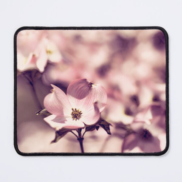 Item preview, cherry blossoms designed and sold by hdconnellyphoto.