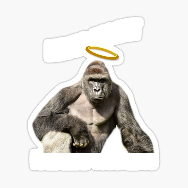 Harambe, Advance, gorilla, Giphy, hashtag, Leash, Internet meme