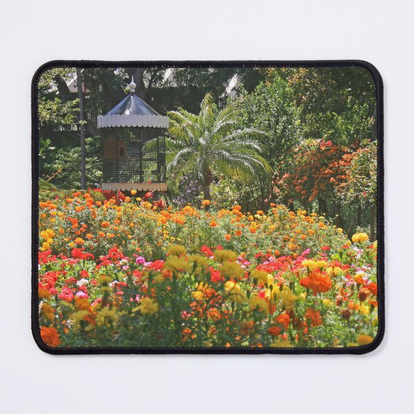 Item preview, Governor's Residence Gardens, Madeira, May 2022 designed and sold by RedHillDigital.