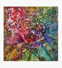 Summer Wine 8 Photographic Print