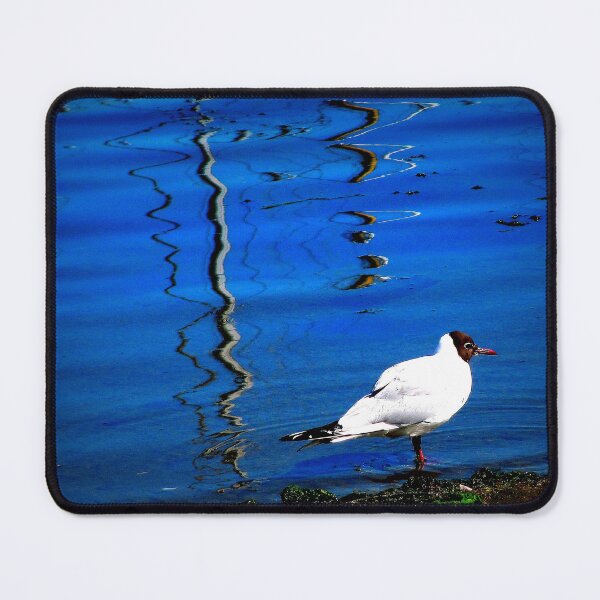 Item preview, Seabird designed and sold by ART22.
