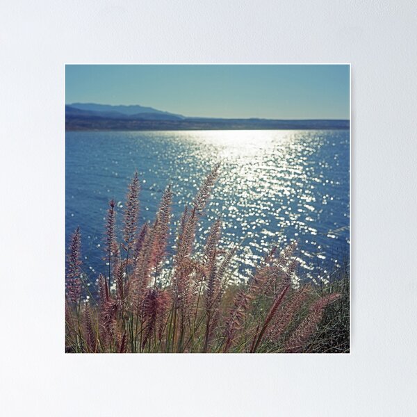 Item preview, Roosevelt Lake in Color designed and sold by James2001.