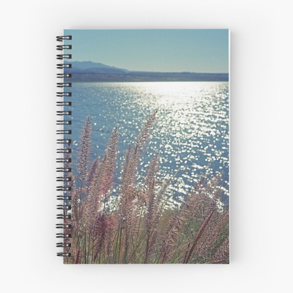 Item preview, Roosevelt Lake in Color designed and sold by James2001.