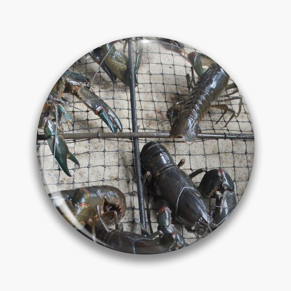 Item preview, Yabby by Avril Thomas at Magpie Springs designed and sold by MagpieSprings.
