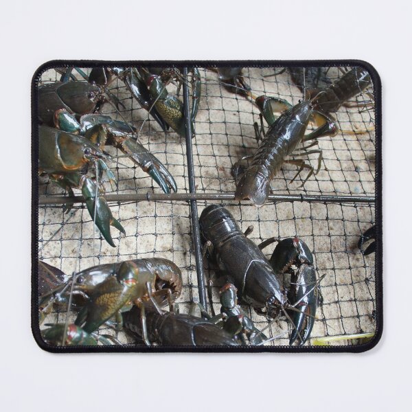 Item preview, Yabby by Avril Thomas at Magpie Springs designed and sold by MagpieSprings.