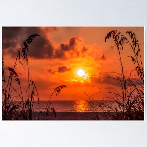 Item preview, Grass Silhouettes At Sunrise designed and sold by Zina Stromberg.