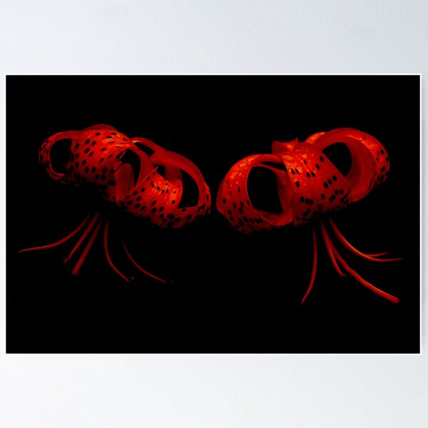 Item preview, La Danse designed and sold by Rosalie Dale.