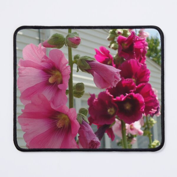 Item preview, Blooming Hibiscus designed and sold by Tonia Henry.