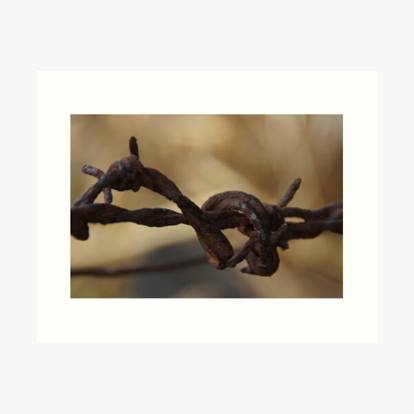 Item preview, Barbed Wire by Avril Thomas at Magpie Springs designed and sold by MagpieSprings.