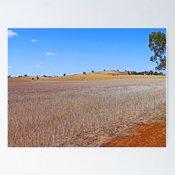 Item preview, A Sunburnt Country designed and sold by Graeme  Hyde.