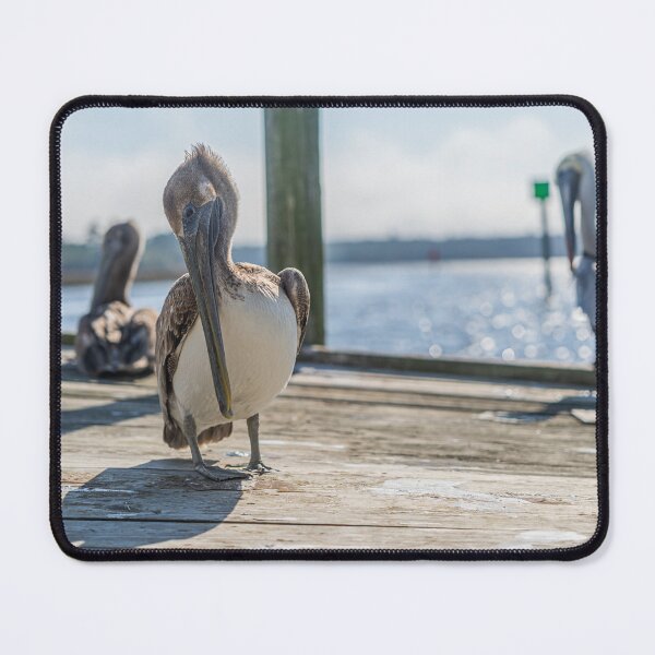 Item preview, Brown pelican designed and sold by KensLensDesigns.