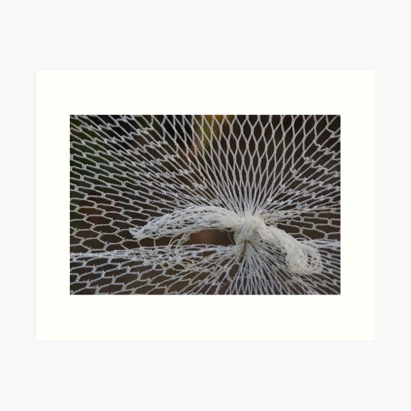 Item preview, Knot in a Net  by Avril Thomas at Magpie Springs designed and sold by MagpieSprings.
