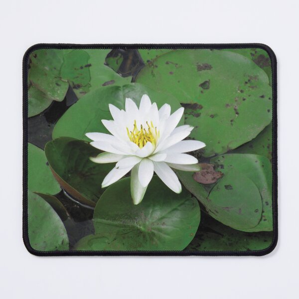 Item preview, white lily in a sea of green designed and sold by KensLensDesigns.