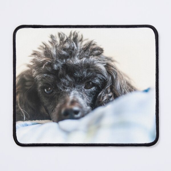 Item preview, Look down designed and sold by KensLensDesigns.