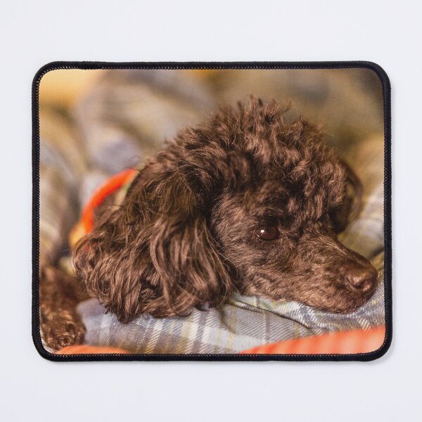 Item preview, Sorry but these are my blankies my human designed and sold by KensLensDesigns.
