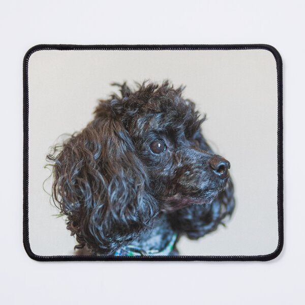 Item preview, Classy poodles designed and sold by KensLensDesigns.