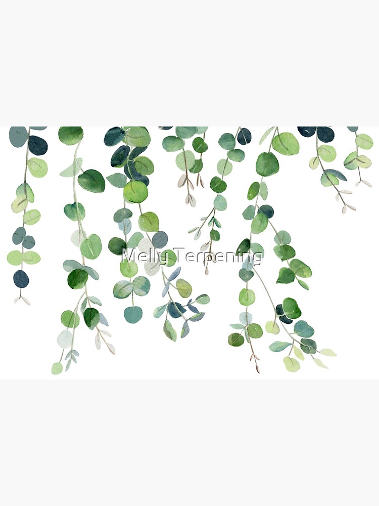 Eucalyptus Watercolor 4 by MellyTerp