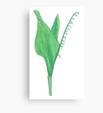 Lily of the Valley Canvas Print
