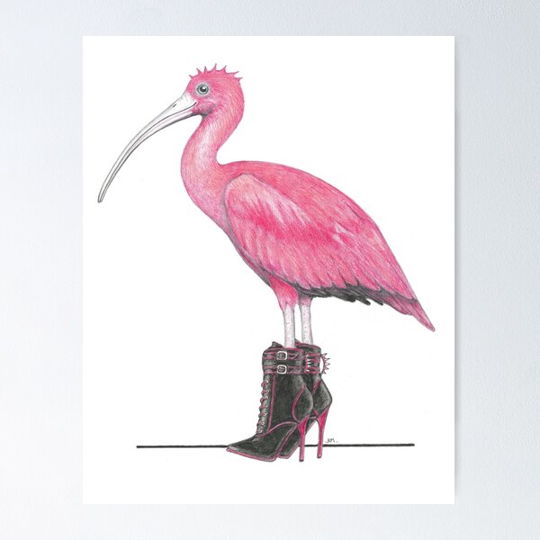 Item preview, Scarlet Ibis in Dangerous Shoes designed and sold by JimsBirds.