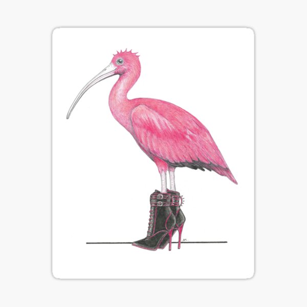 Item preview, Scarlet Ibis in Dangerous Shoes designed and sold by JimsBirds.