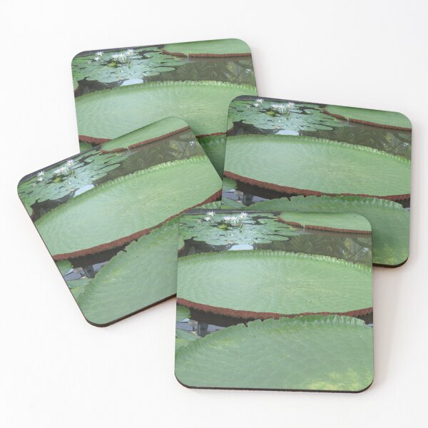 Item preview, Giant water lily designed and sold by greentiger1.