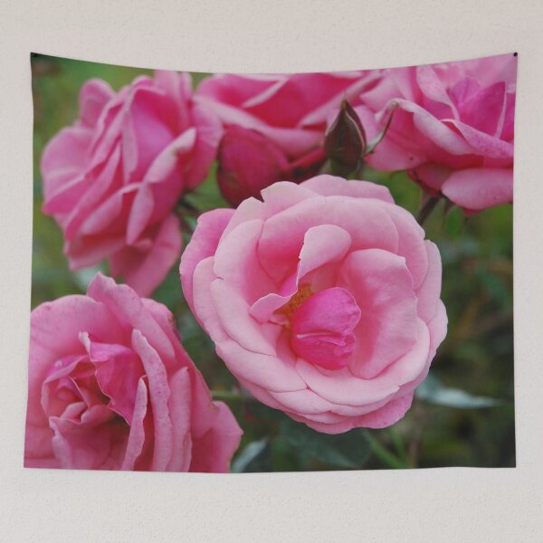 Item preview, Rose lots of pink designed and sold by lizdomett.