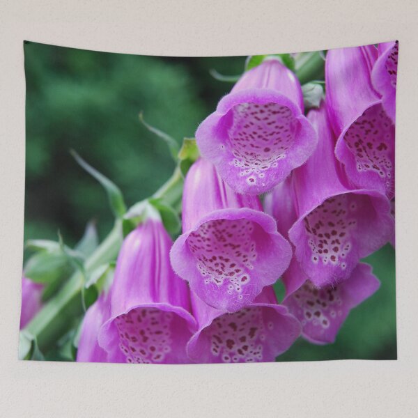 Item preview, Foxglove designed and sold by lizdomett.