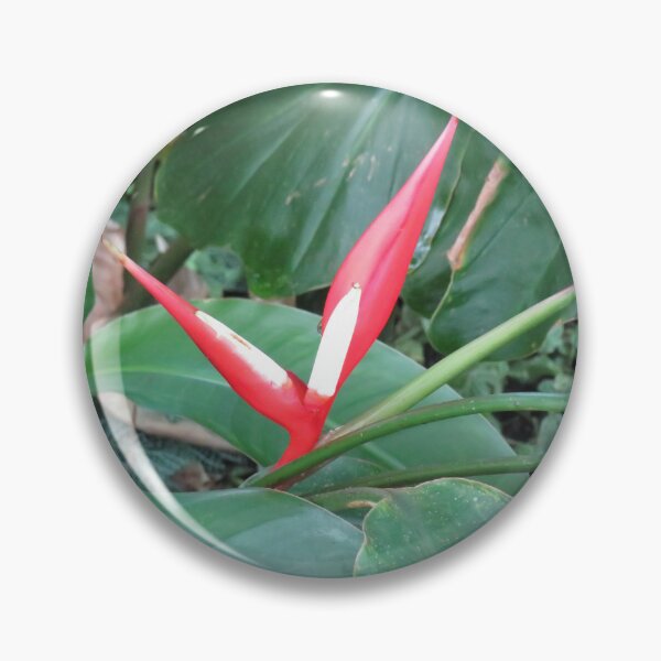 Item preview, Red heliconia  designed and sold by greentiger1.