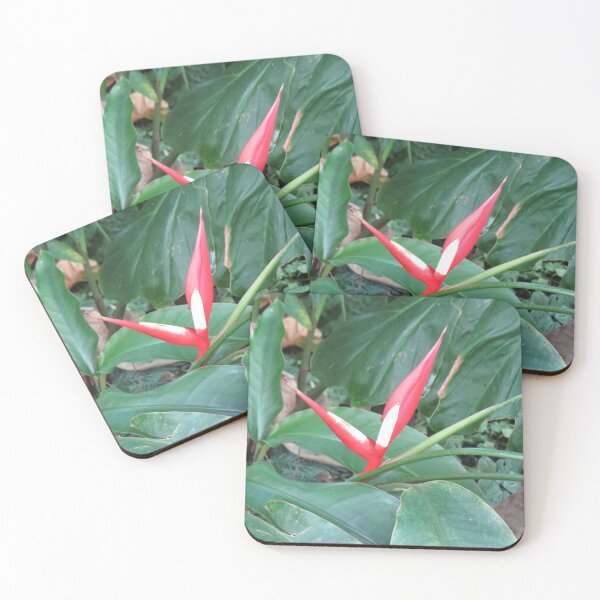 Item preview, Red heliconia  designed and sold by greentiger1.
