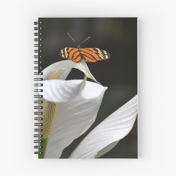 Item preview, Tiger Longwing on Peace Lily designed and sold by Kathleen Brant.