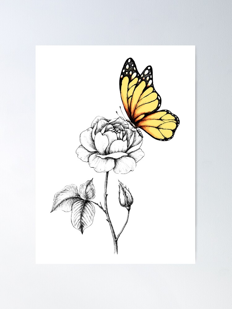 Flowers And Butterflies Drawing PNG Transparent Images Free Download |  Vector Files | Pngtree