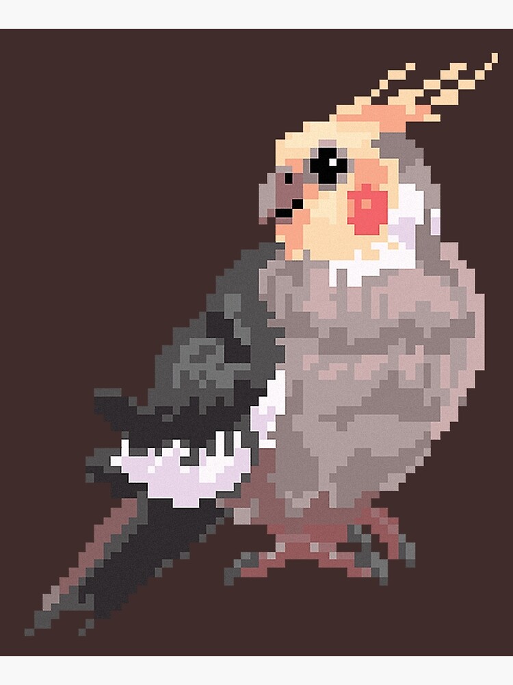 "Pixel Cockatiel Test" Poster by Shalmons Redbubble