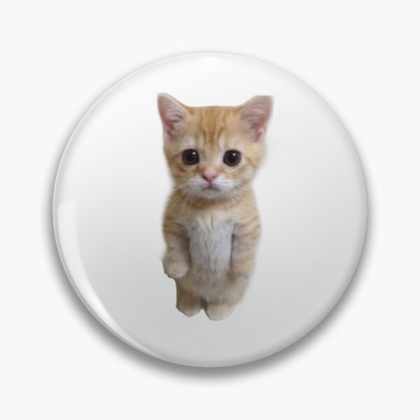 Artikelvorschau, El Gato entworfen und verkauft von sabahnaveed.