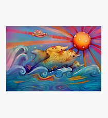 rainbow dolphins Photographic Print